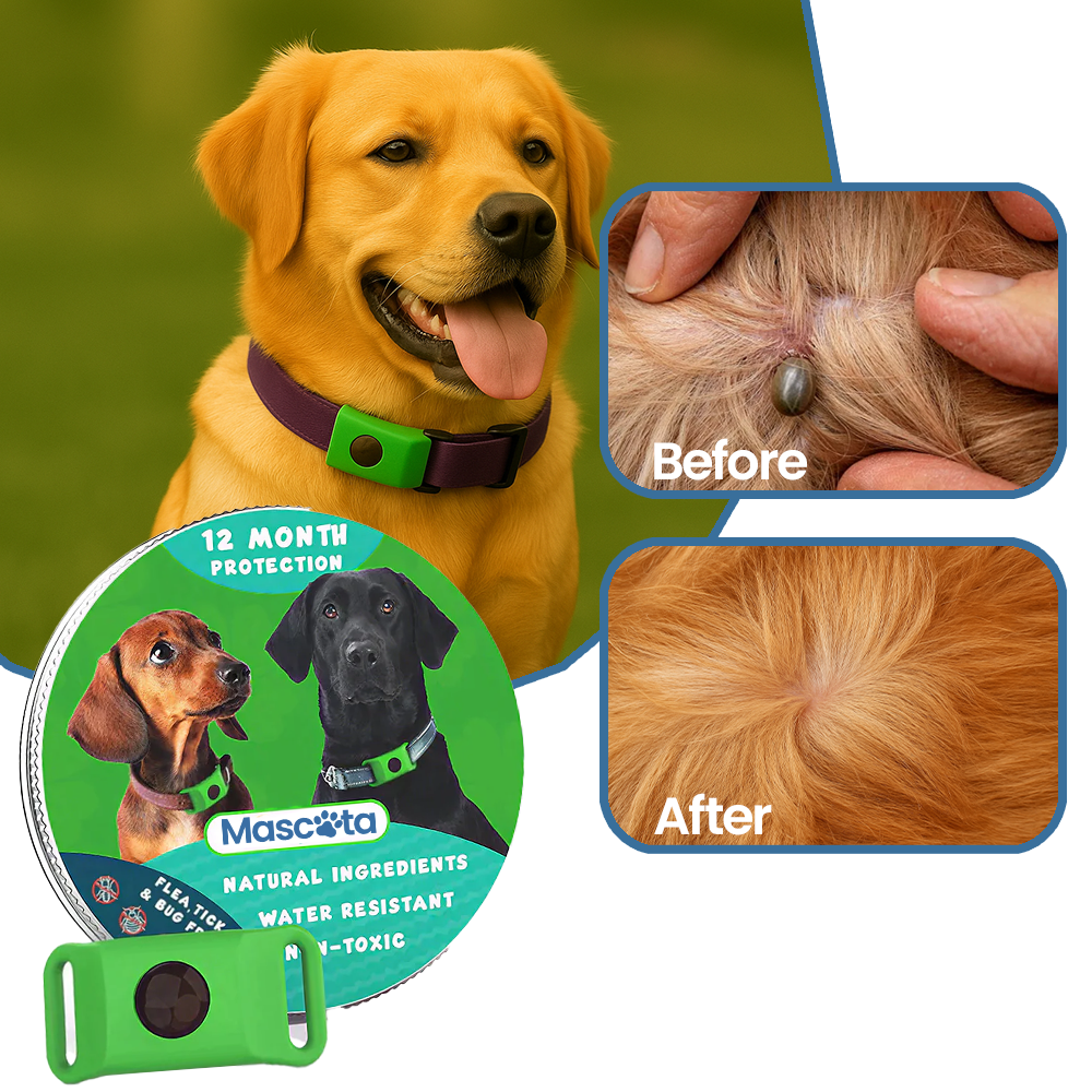 Mascota 8 Month Flea and Tick Prevention Tag