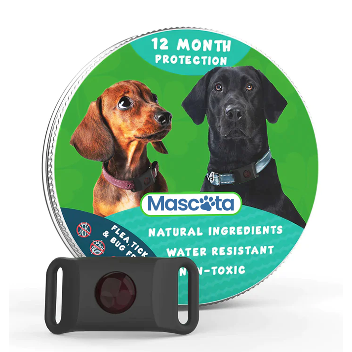 Mascota 8 Month Flea and Tick Prevention Tag
