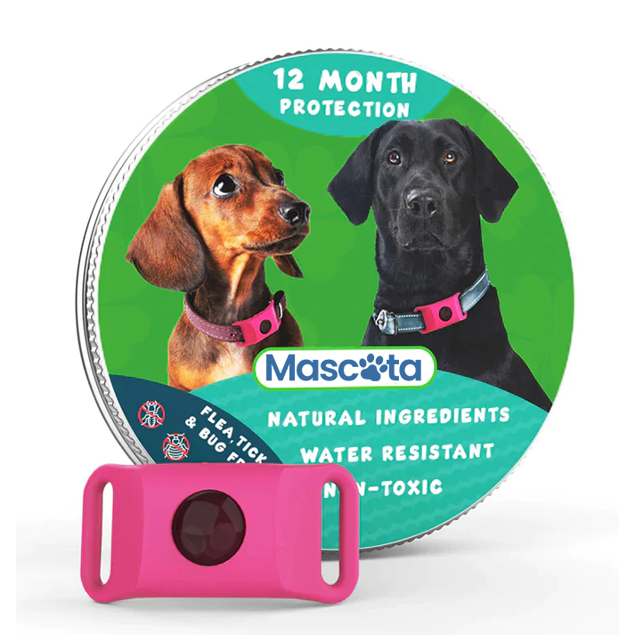 Mascota 8 Month Flea and Tick Prevention Tag